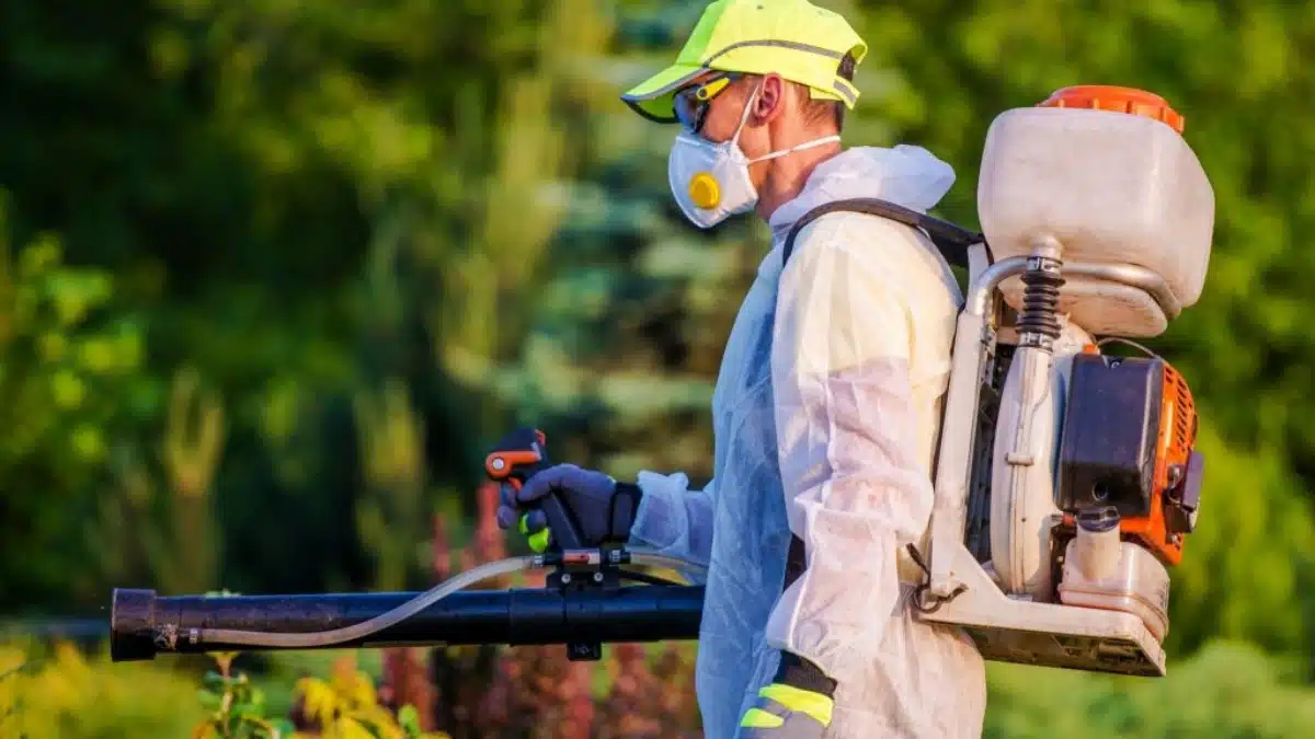 Sydney Pest Control Services: A Complete Guide to Effective Pest Management