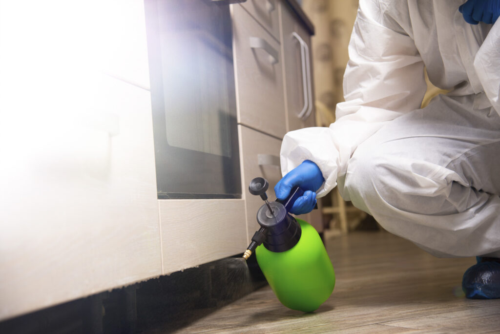 Pest Control in Sydney: How to Choose the Right Service for Your Needs